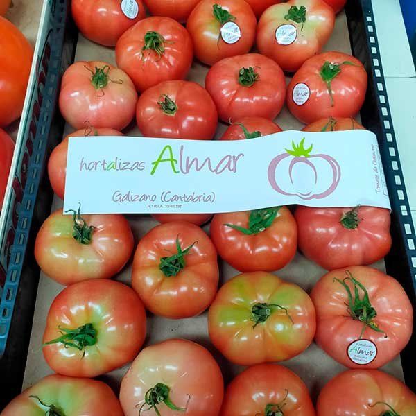 Tomates
