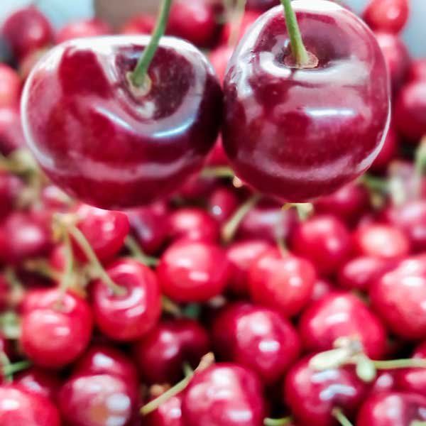 Cerezas