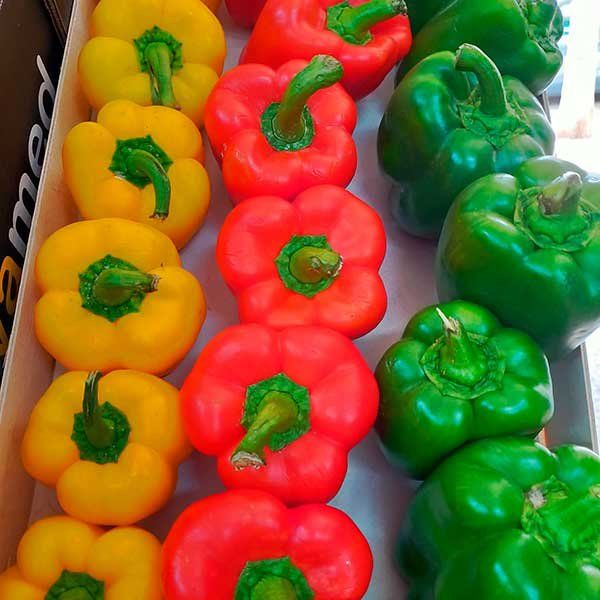 Pimientos