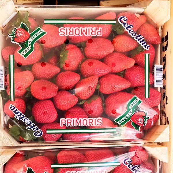 Fresas